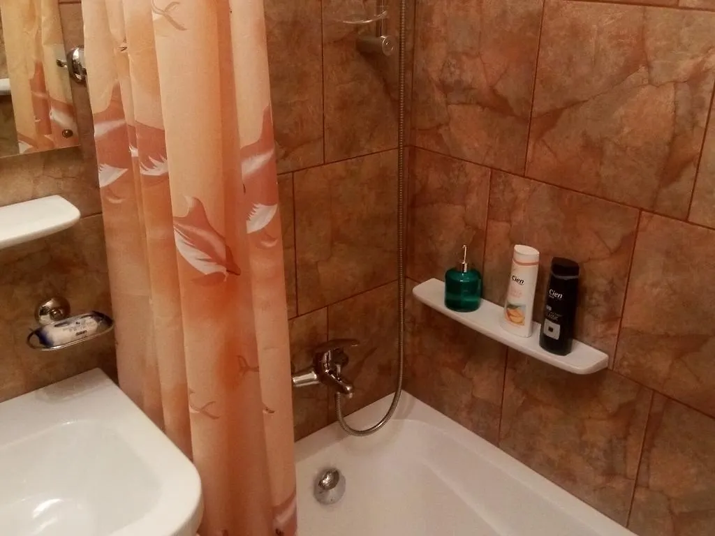 Apartament Dana Bucharest 0*,