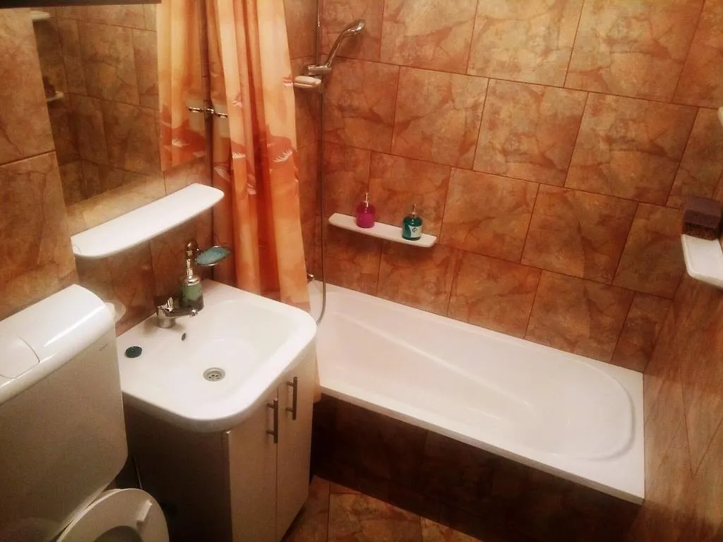 Apartment Apartament Dana Bucharest