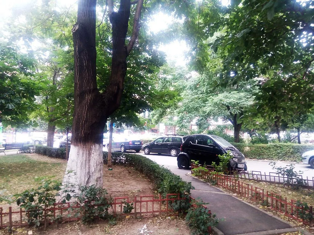 Apartament Dana 부쿠레슈티 루마니아