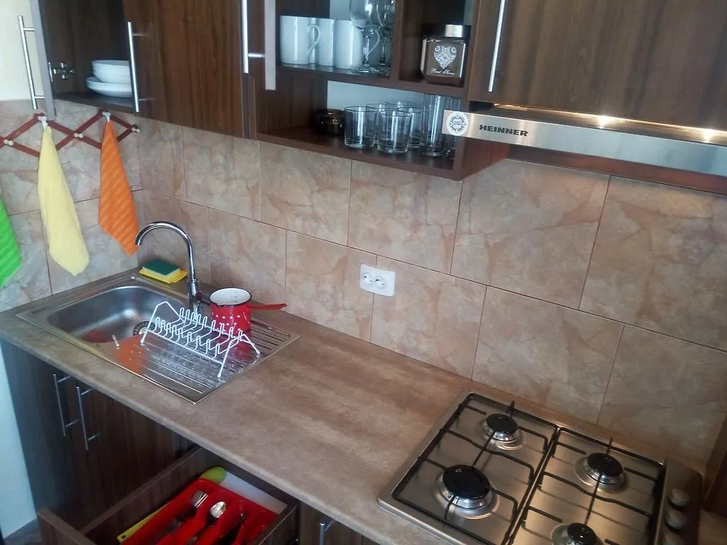 Apartament Dana 부쿠레슈티 아파트