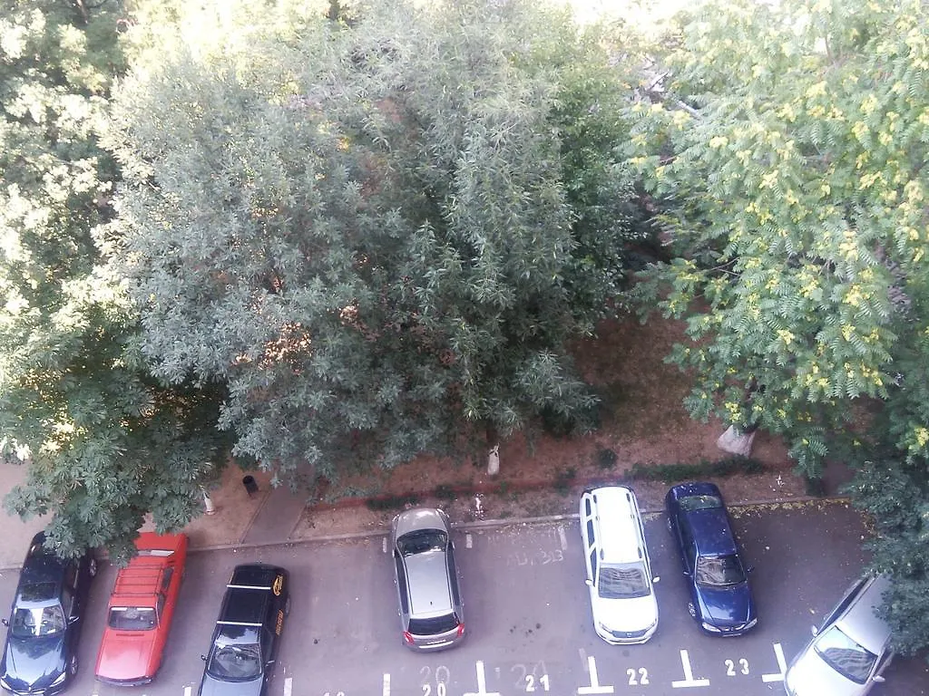 Apartament Dana 부쿠레슈티