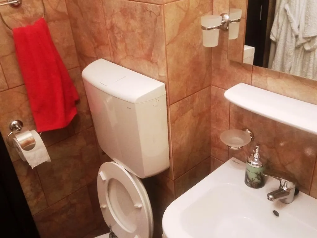아파트 Apartament Dana 부쿠레슈티